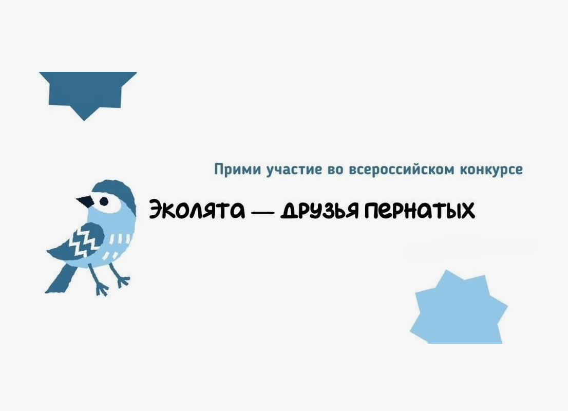 Всероссийский конкурс игрушек-кормушек «Эколята – друзья пернатых»