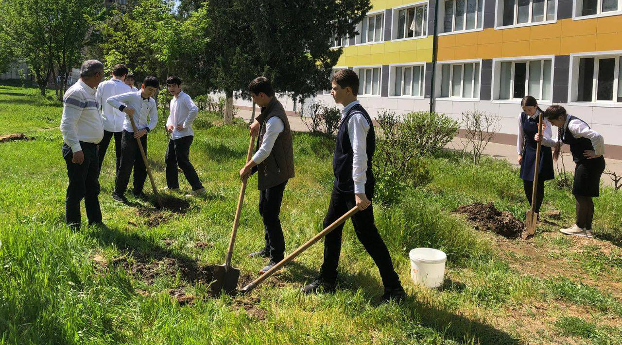 Саженцы более 800 деревьев посадили в школьных «Садах памяти»