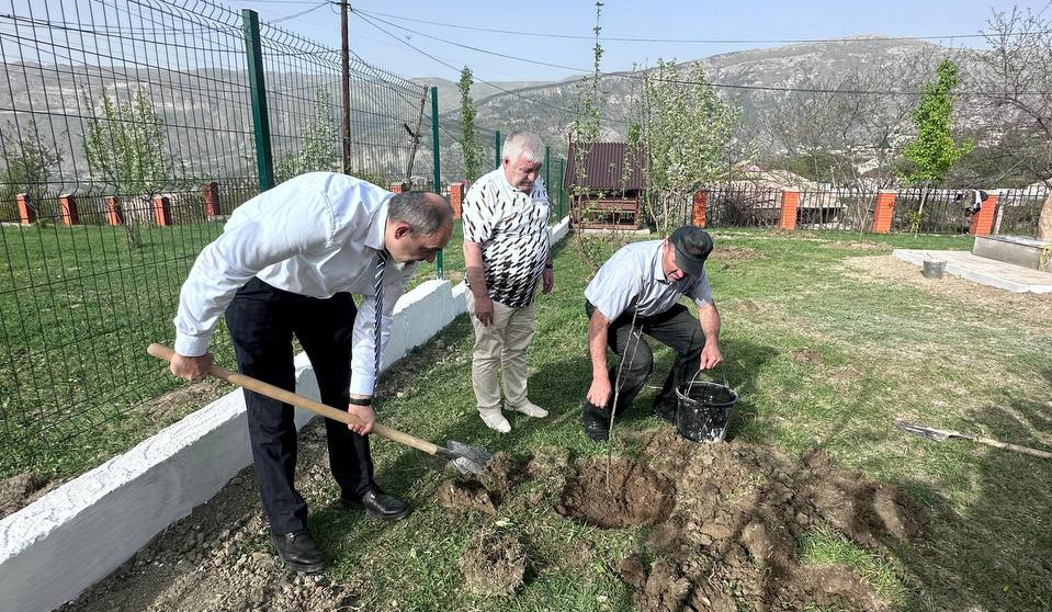 Чтобы помнили: новое дерево появилось в Саду Памяти с.Карата.