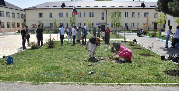 Международная акция «Сад памяти» продолжается в Индустриально-промышленном колледже